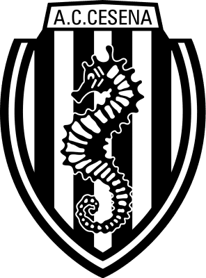 تشيزينا تحت 19